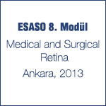 ESASO 8. Modül, Ankara 2013