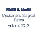 ESASO 6. Modül, Ankara 2012